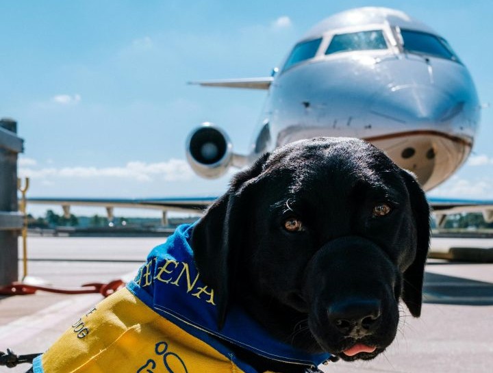 Important Announcement Regarding International Travel and Health Certificates As of December 2025